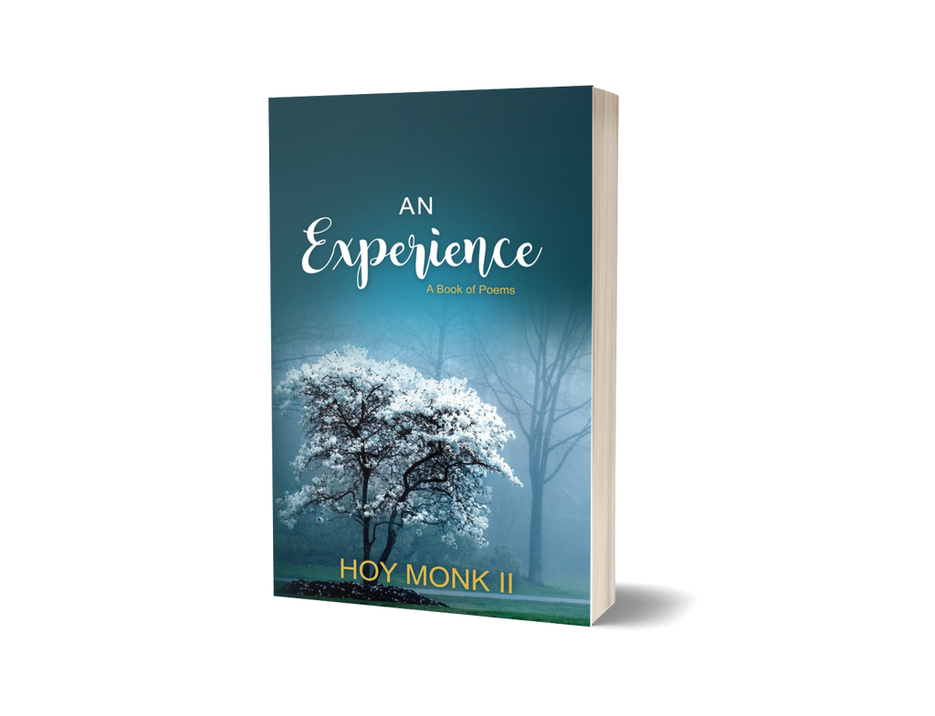 An Experience: A book of poems